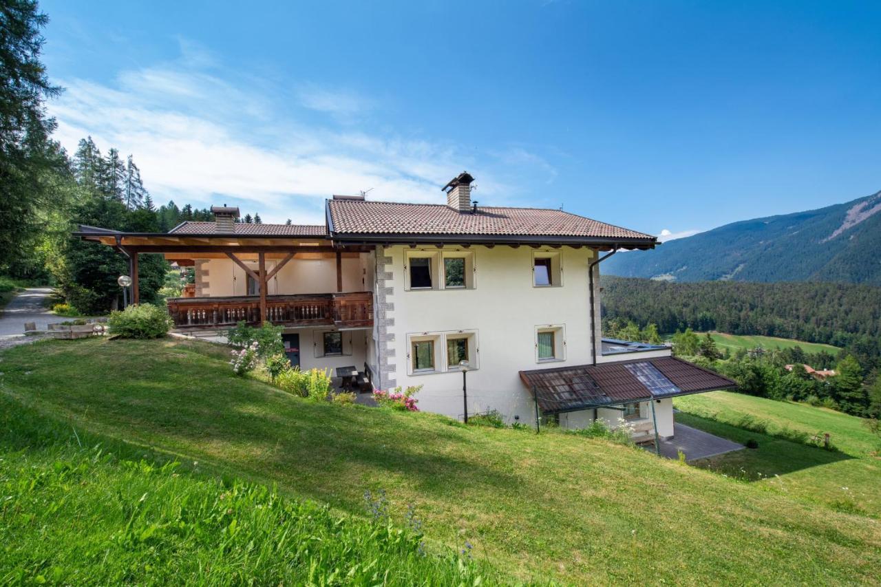 Chalet Alpina 奥蒂塞伊 外观 照片
