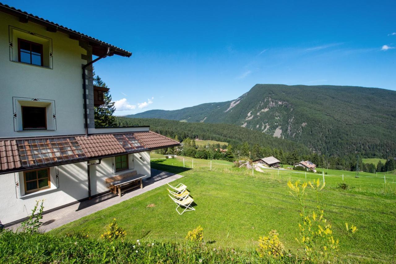 Chalet Alpina 奥蒂塞伊 外观 照片